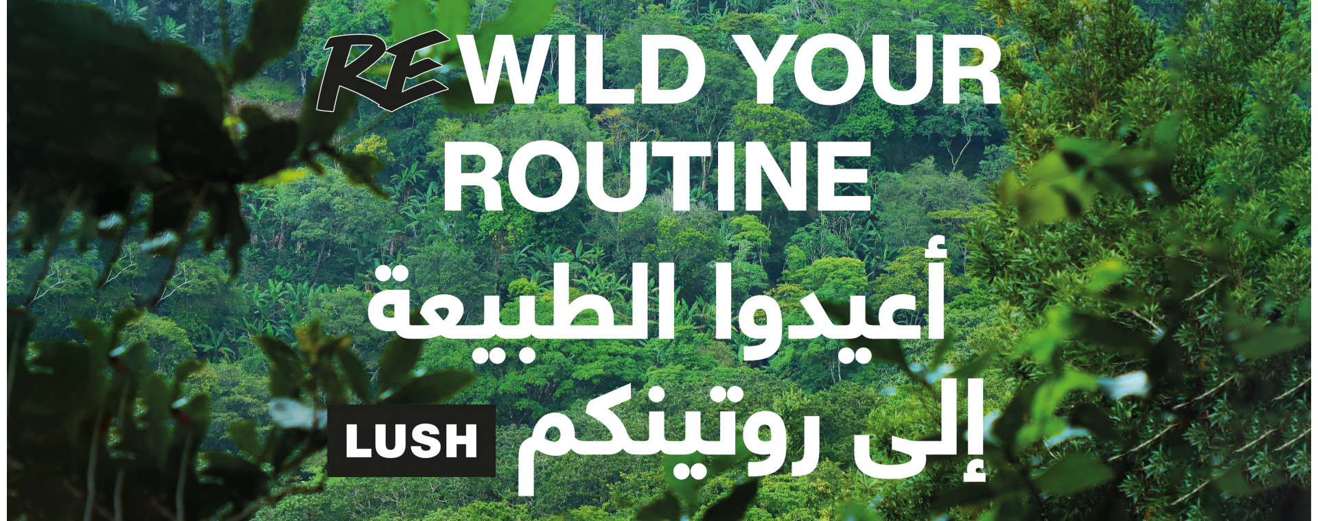 Rewild your routine